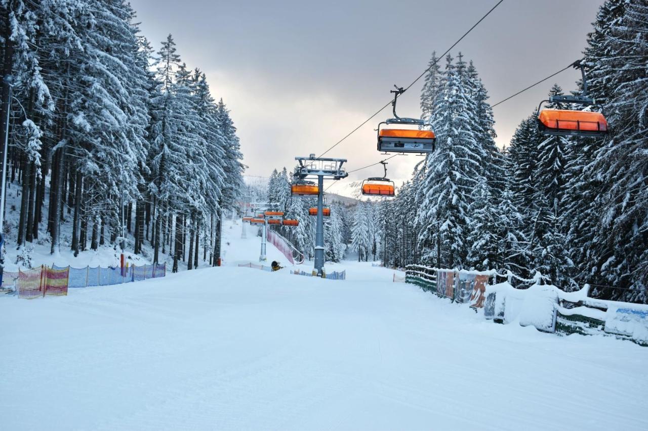 Platan W Karkonoszach Будинок відпочинку Ковари